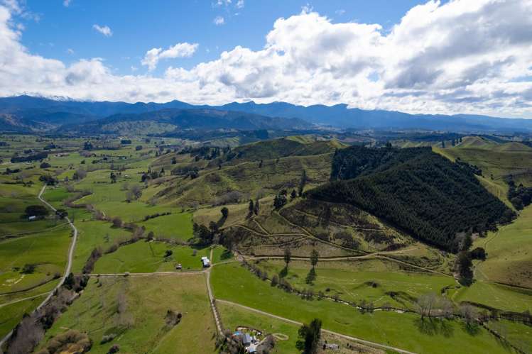 121 Win Valley Road Dovedale_41