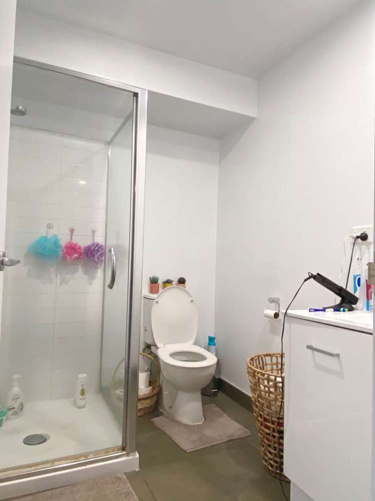 90b Michael Jones Drive Flat Bush_6