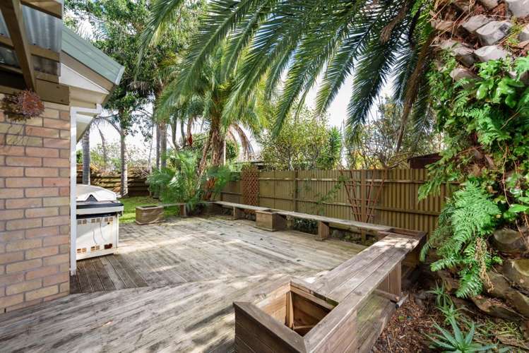 69b Girven Road Mount Maunganui_9