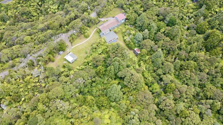 18 Steam Hauler Track Waitakere_30