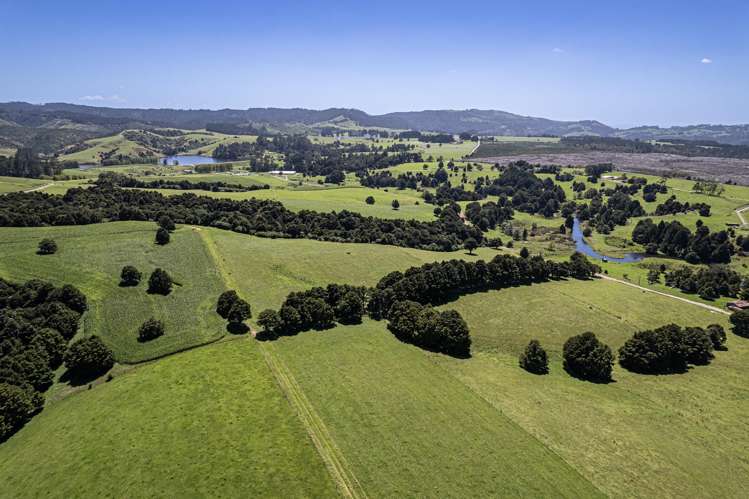 731 Puhipuhi Road Whakapara_40