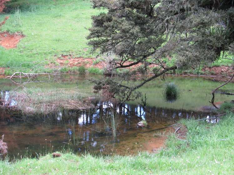 5573 State Highway 12 Kaikohe_20