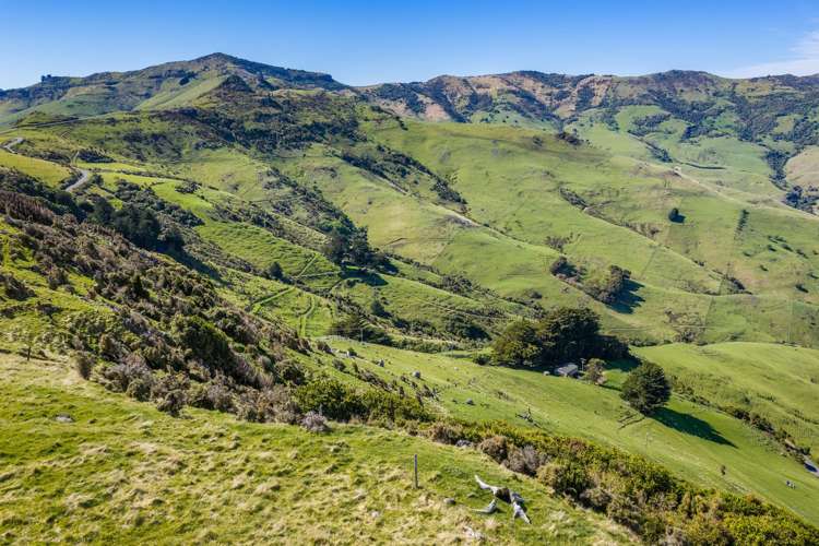 194 Okains Bay Road Akaroa_37