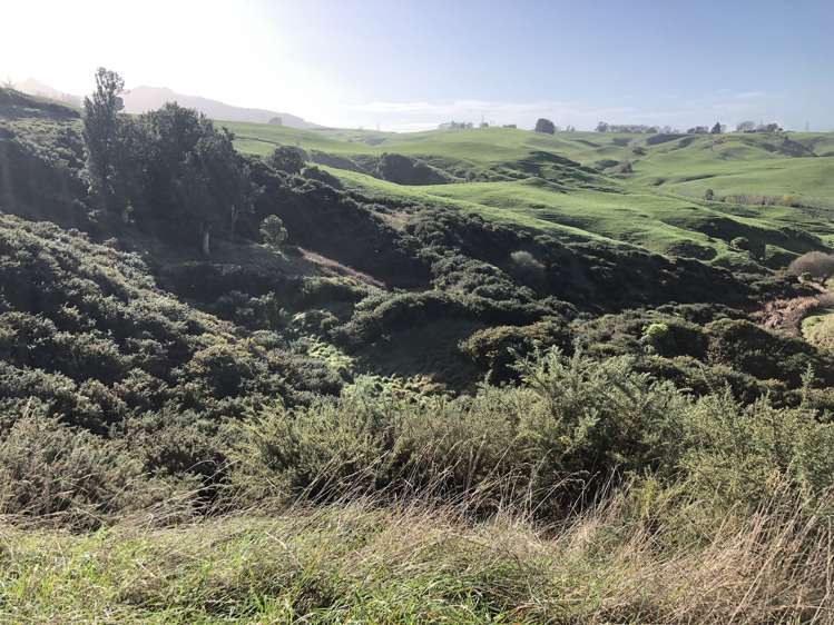 57 Earle Road Pukeatua_8