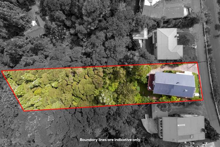 77 Shetland Street Glen Eden_5