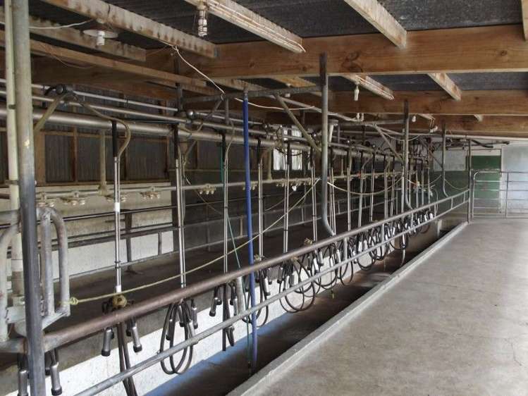 678 Wingrove Road Stratford_21