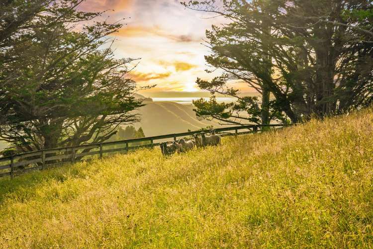 140 Dill Road Warkworth_18