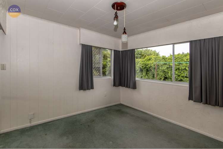 6 Bristol Street Tamatea_9