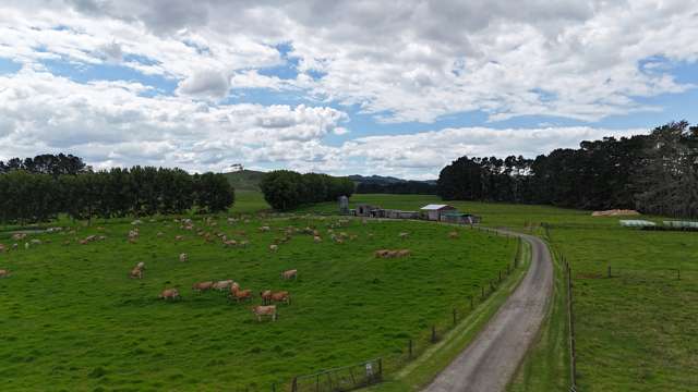 374 Rakauwahia Road Taheke_1