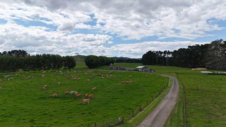 374 Rakauwahia Road Taheke_1