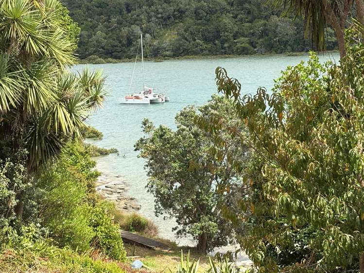 13 Okura River Road Okura_8