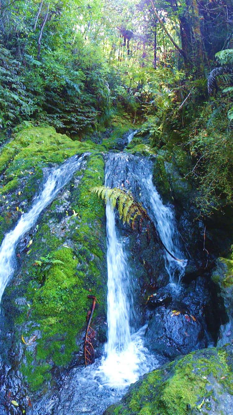 42 Matheson Road Hukerenui and Surrounds_13