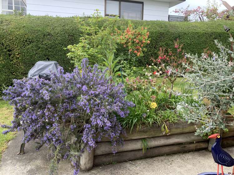 11 Ross Street Balclutha_19