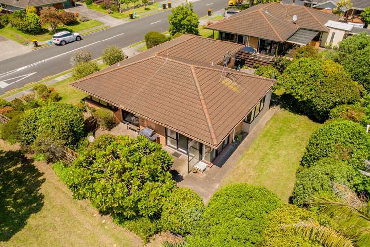 43a Hibiscus Avenue Mount Maunganui_11