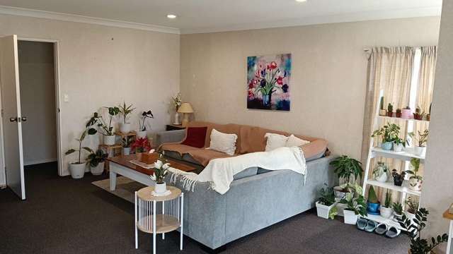 48B Emmett Street Greerton_2