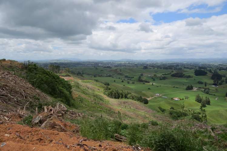 Waitomo Valley Road Otorohanga_12