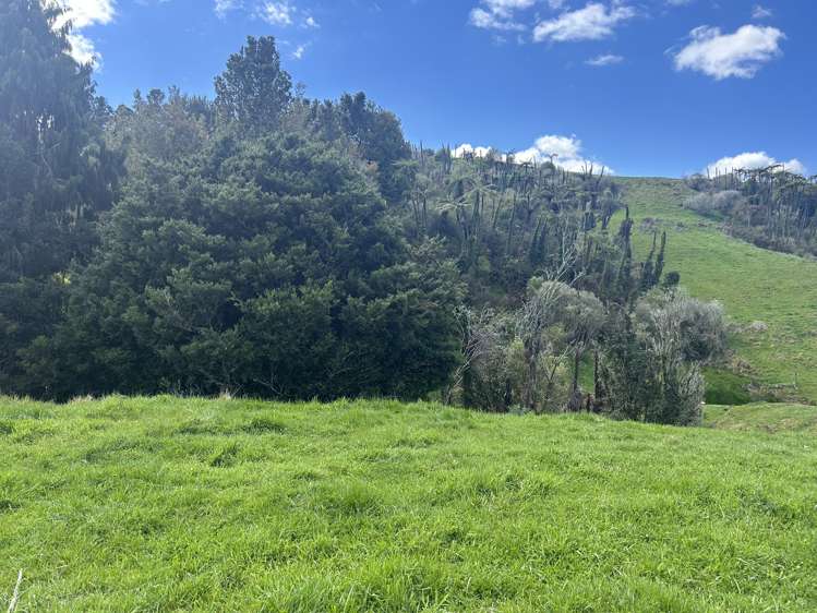 870 Mangati Road Pirongia_33