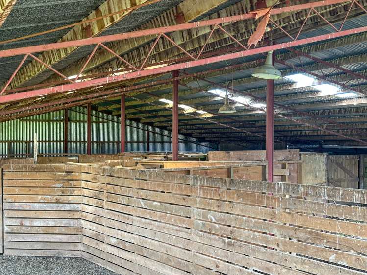 164 Oswald Road Te Anau Surrounds_13