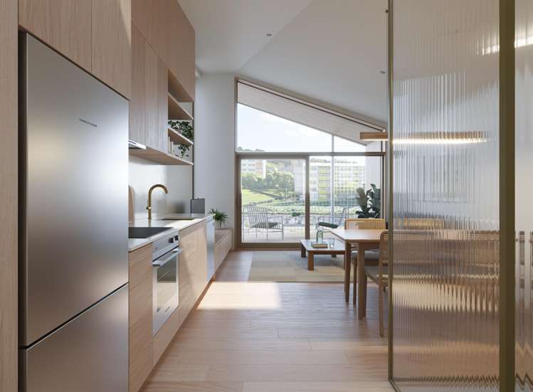 207 Adelaide Road Newtown_6