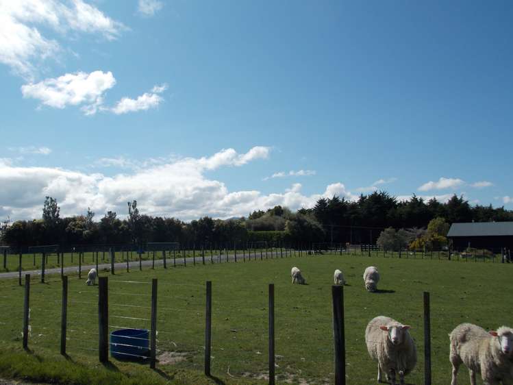 235c Watershed Road Bunnythorpe_17