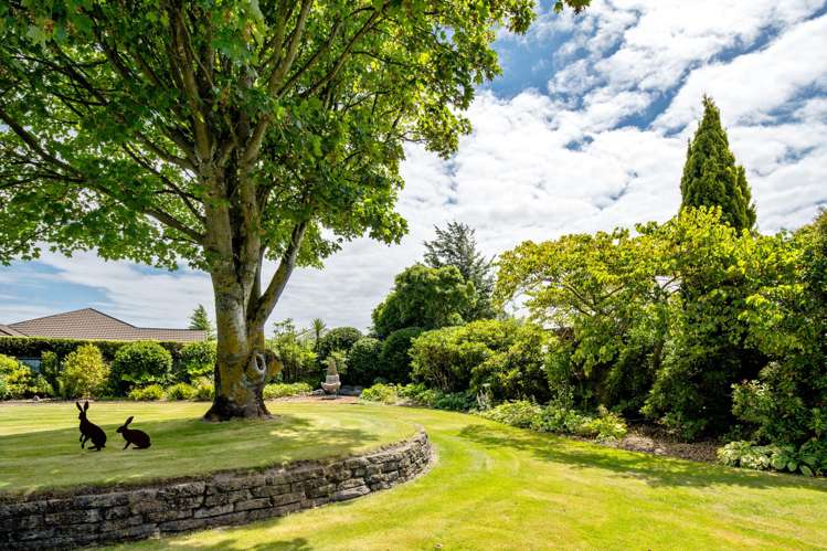 71 Murphys Road Springlands_27