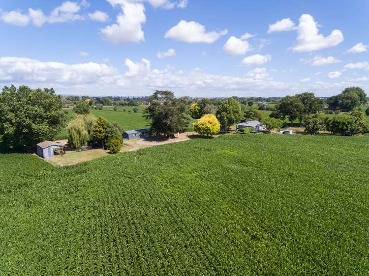 127 Norrish Road Ohaupo_15