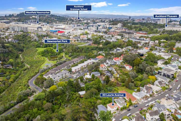 33 Laurie Avenue Parnell_21