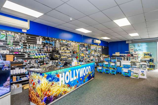 10/2 Tawa Drive Albany_3