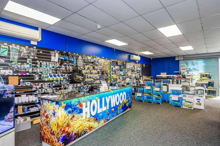 10/2 Tawa Drive Albany_3