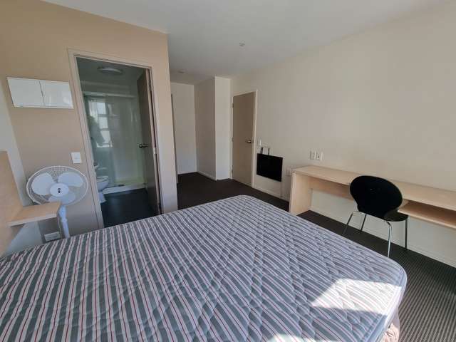 309/85 Wakefield Street Auckland Central_4