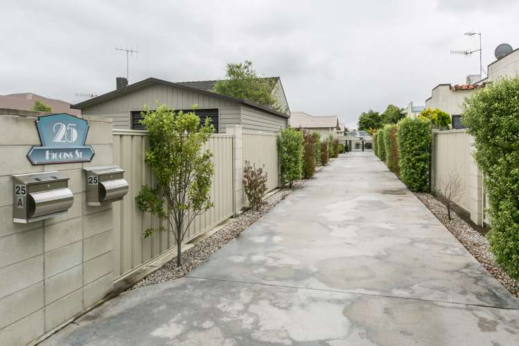 25a Higgins Street Marewa_16