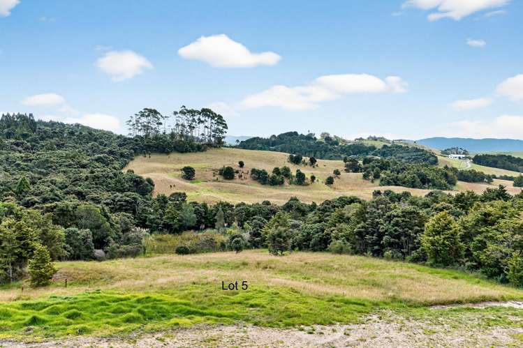 Mangawhai Bush Estate Mangawhai_19