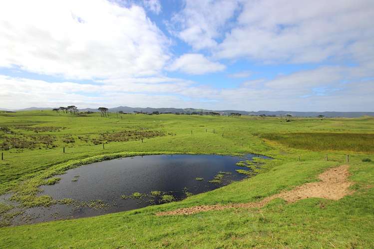 Sandhills Road Ahipara_22