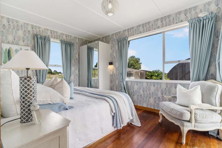 94 Ara-Kotinga Whitford_13