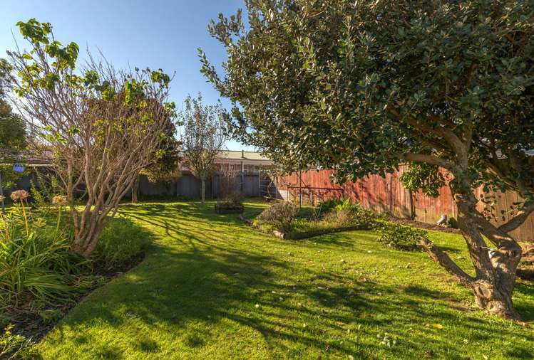 18 Pukeko Street Hillcrest_14