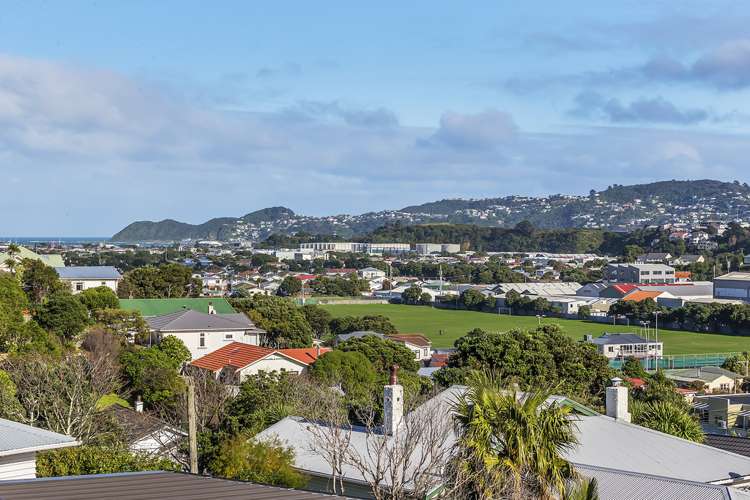 103 Totara Road Miramar_12