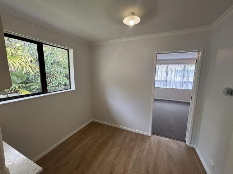 1/33 Van Diemen Street Nelson South_3