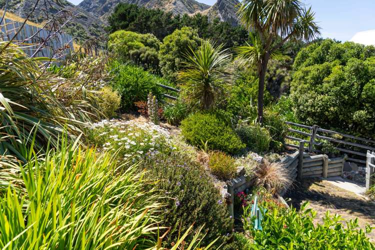 4 Ben Avon Grove Cape Palliser_14