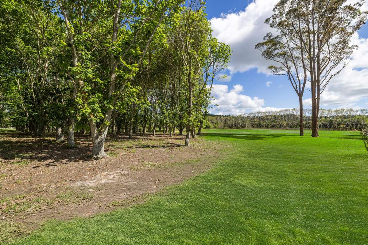 Lot 1/39 Berenice Lane_3