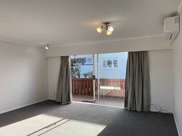 5c Ngatiawa Street One Tree Hill_2