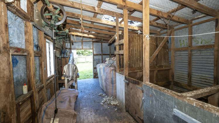 124 Alfredton Road Eketahuna_13