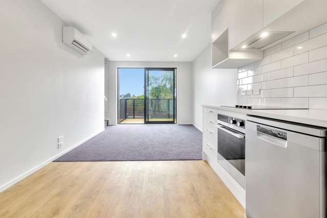 6/1 Fruitvale Road New Lynn_1
