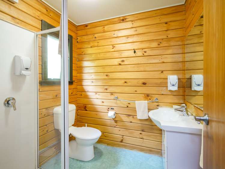 103 Malvern Street Woodhaugh_19