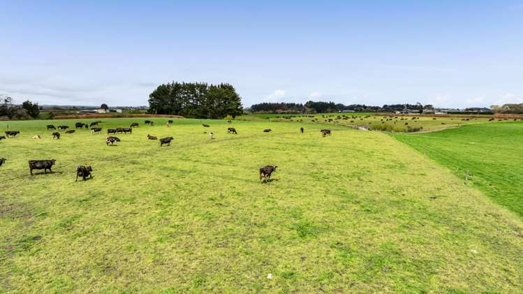 0n Ngarongo Road Normanby_71