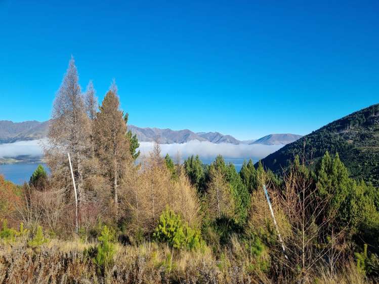 103 Alpine Retreat Road Ben Lomond_20
