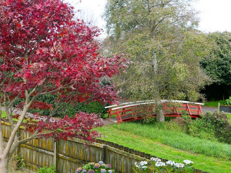 13 Tui Place Bell Block_6