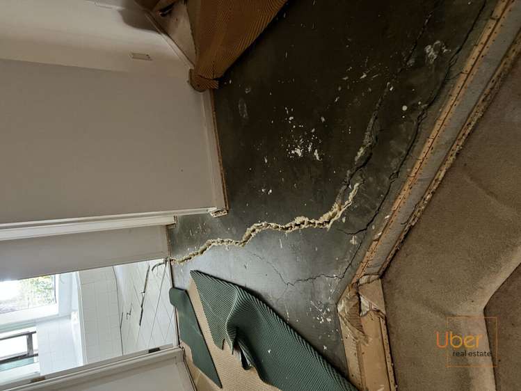 11 Davidson Avenue Tamaterau_12