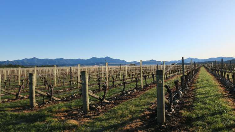 816 Waihopai Valley Road Waihopai Valley_8