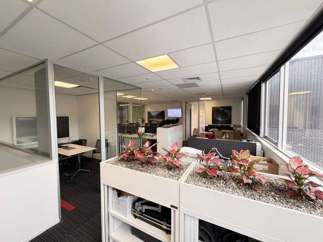 92 Nelson Street Petone_4