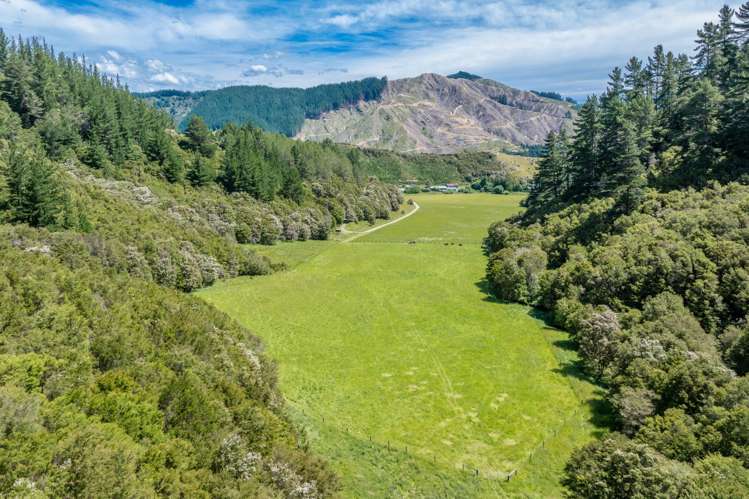 140 Leslies Road Okaramio_28